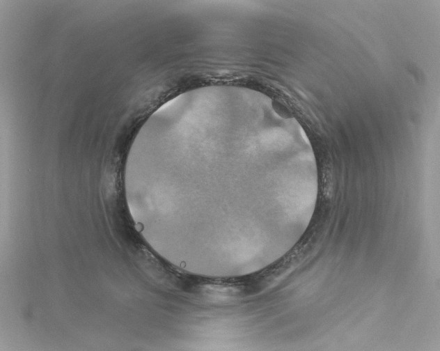 X0000114100515200911161101