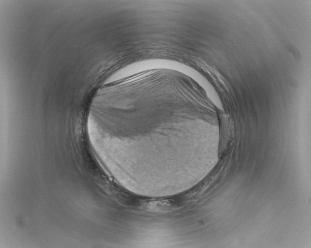 X0000114100517200911161100