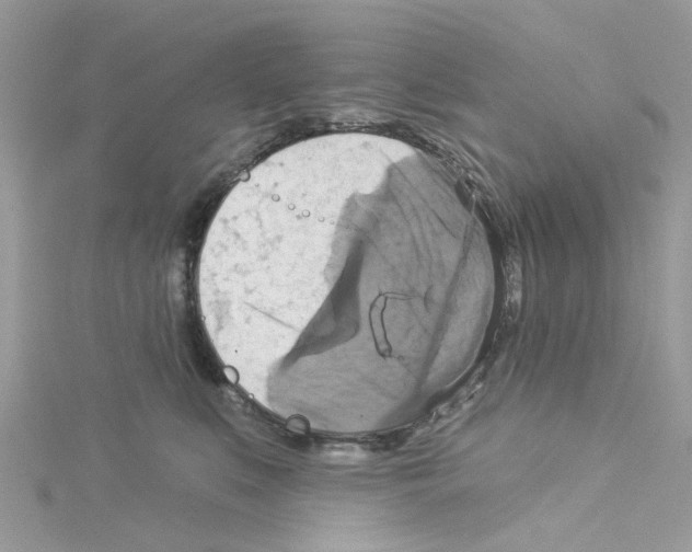 X0000114100519200911161100