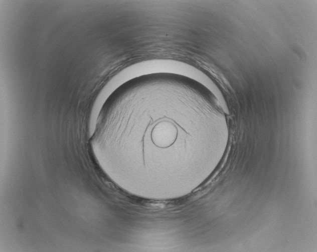 X0000114100521200911161100