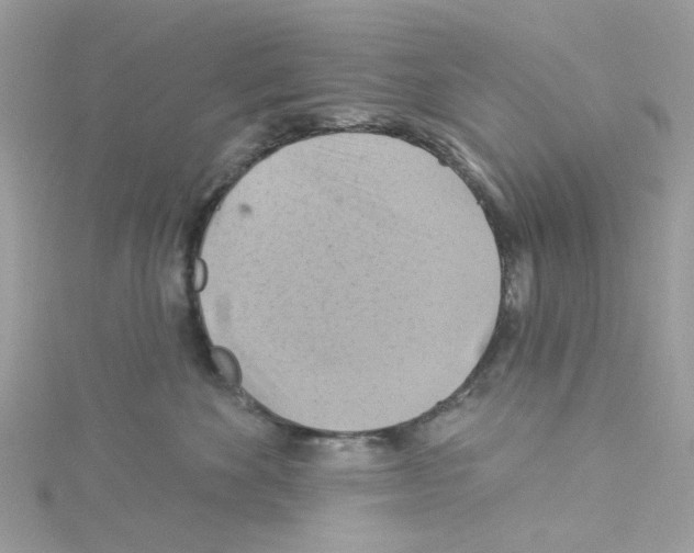 X0000114100524200911161100