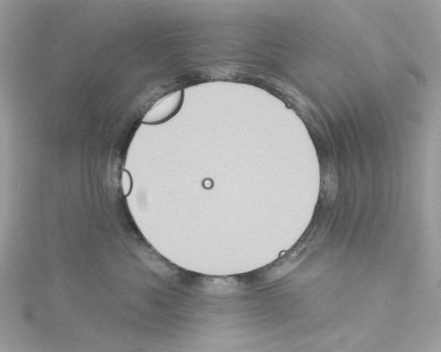 X0000114100525200911161100