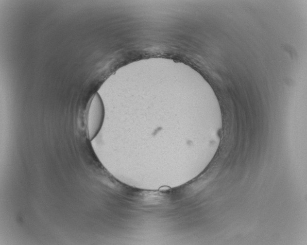 X0000114100528200911161100