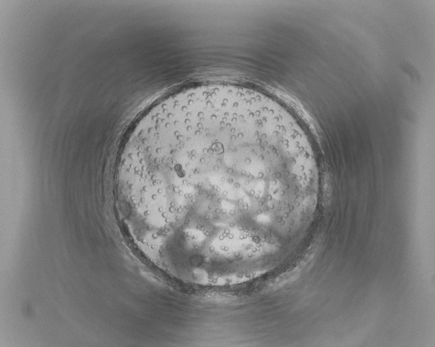 X0000114100529200911161100