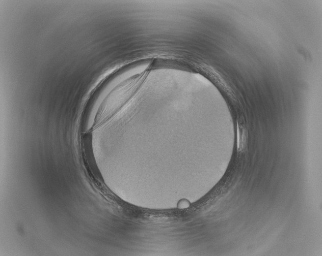 X0000114100531200911161100