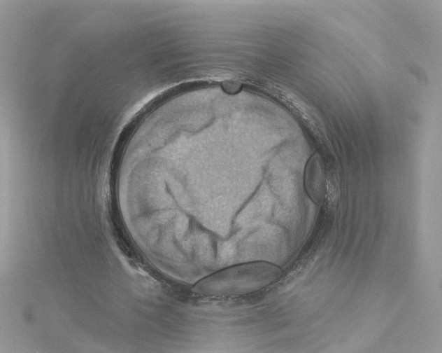 X0000114100532200911161100