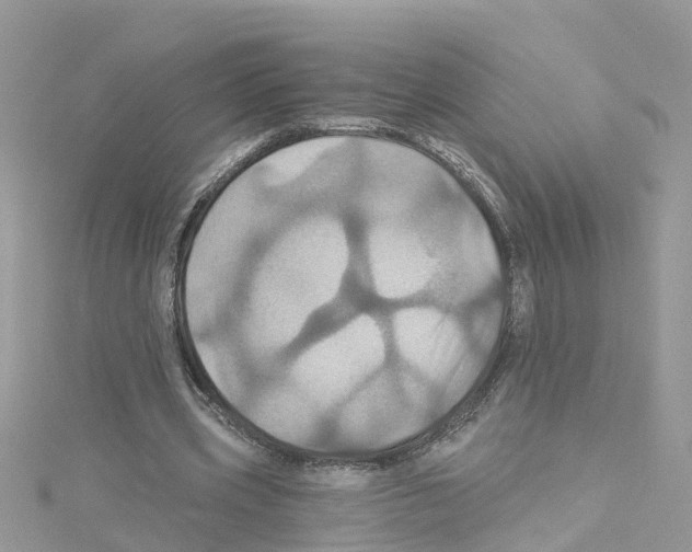 X0000114100533200911161100