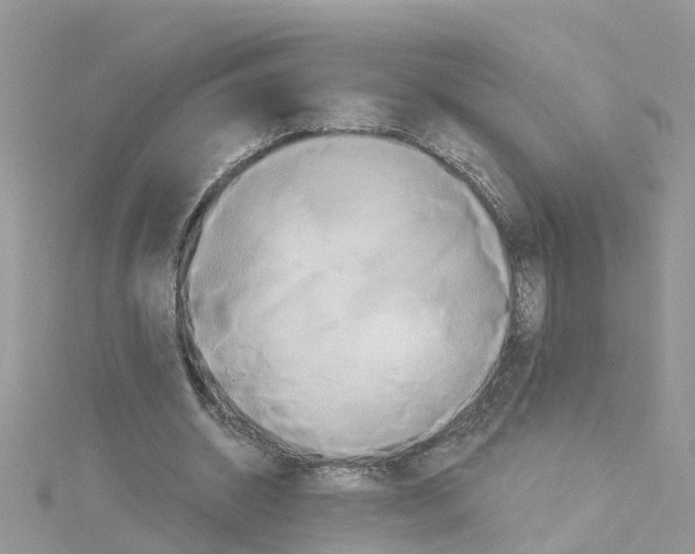 X0000114100534200911161100