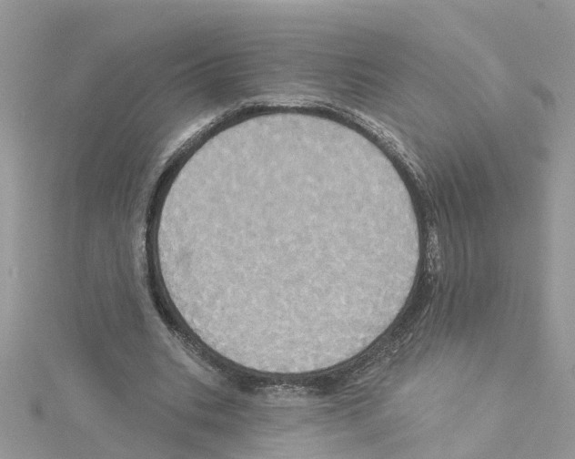 X0000114100535200911161100