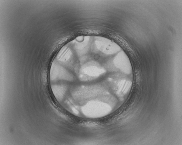 X0000114100537200911161100