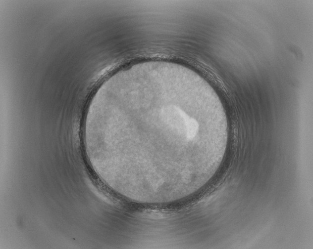 X0000114100538200911161100