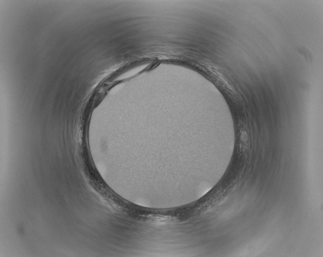 X0000114100539200911161100