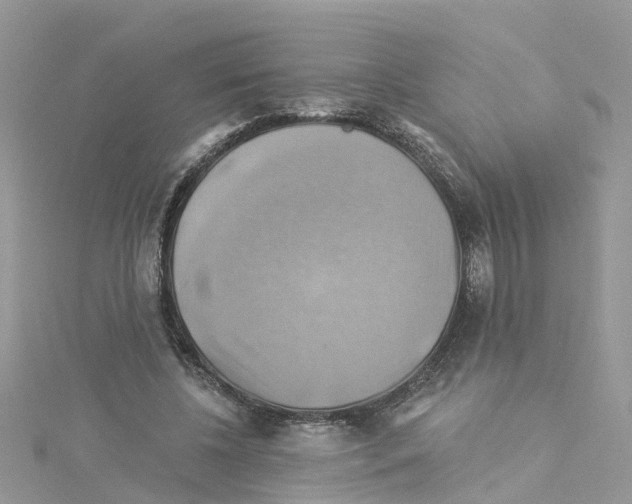 X0000114100540200911161100