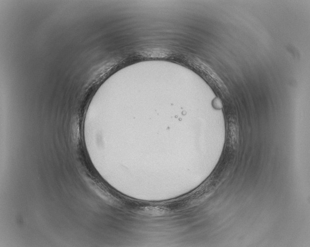 X0000114100541200911161100