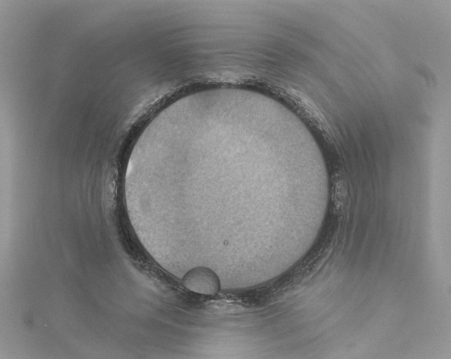 X0000114100544200911161100