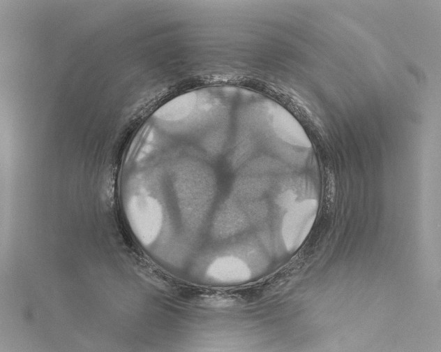 X0000114100545200911161100