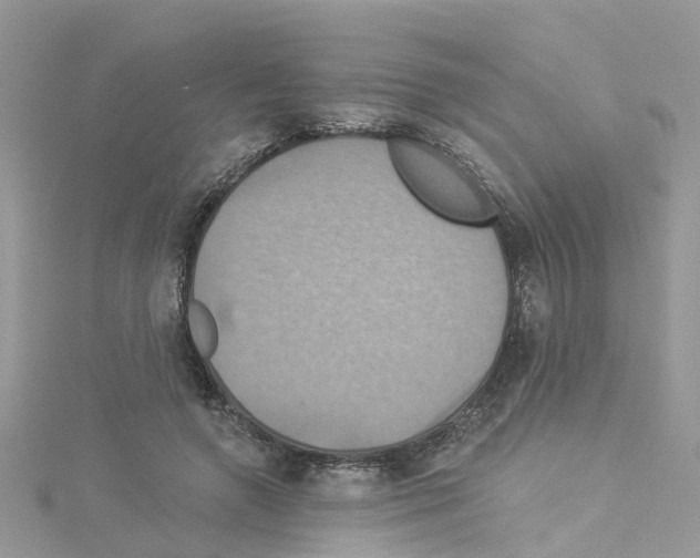 X0000114100546200911161100