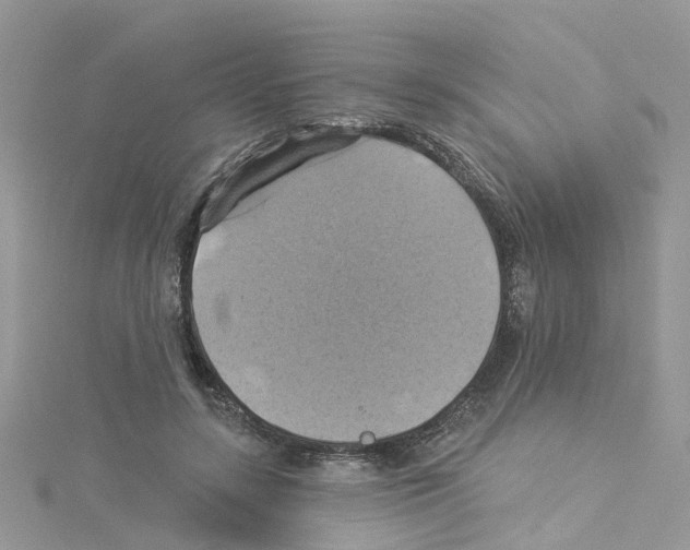 X0000114100547200911161100