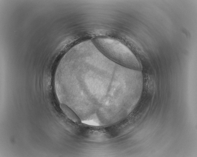 X0000114100548200911161100