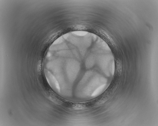 X0000114100549200911161100