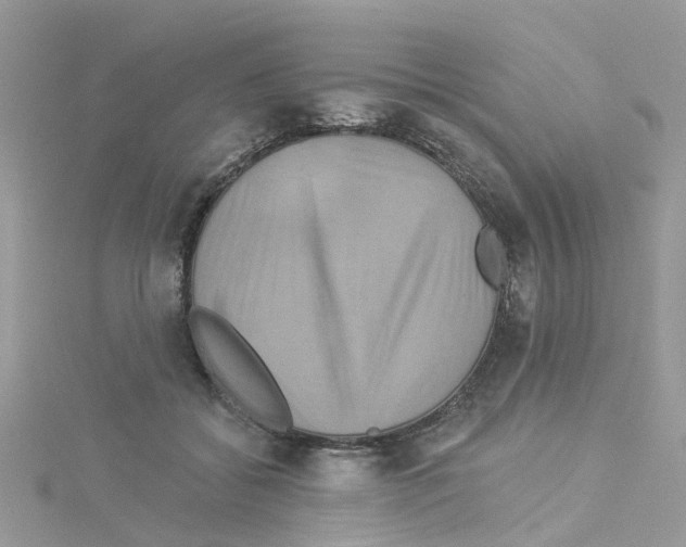 X0000114100556200911161100