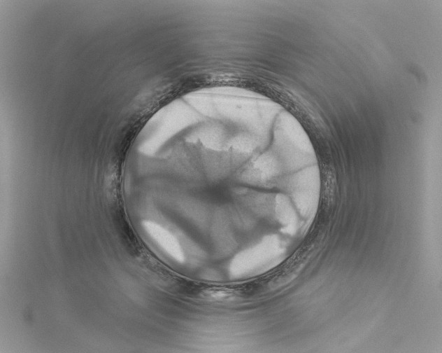 X0000114100557200911161100