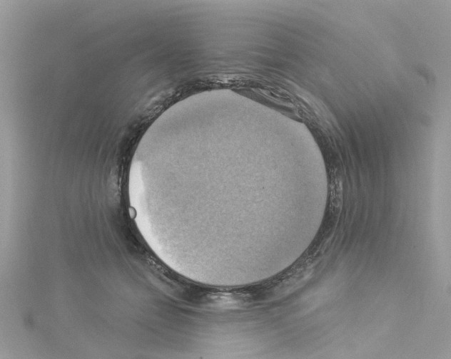 X0000114100558200911161100