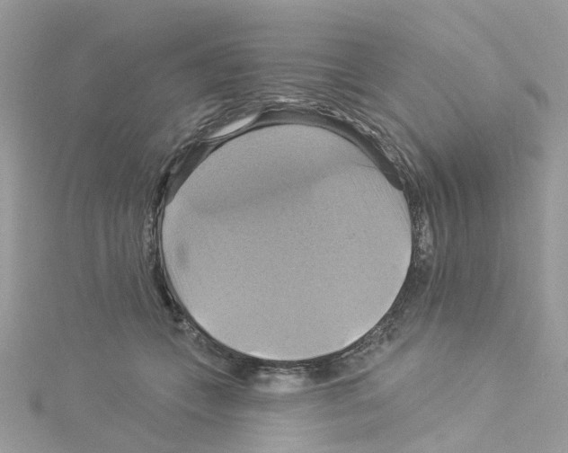 X0000114100559200911161100