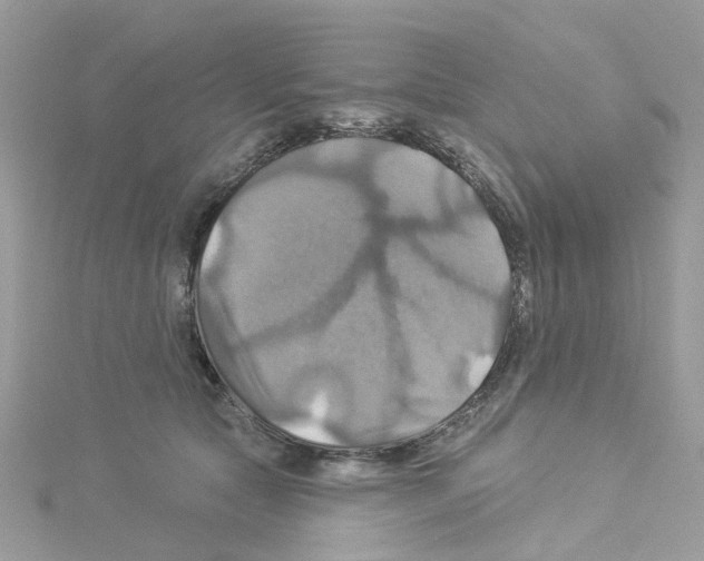 X0000114100561200911161100