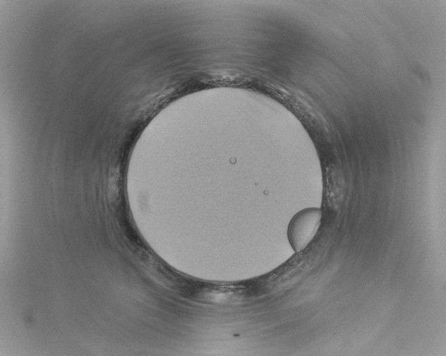 X0000114100563200911161100