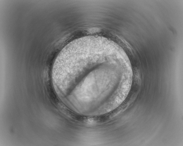 X0000114100565200911161100