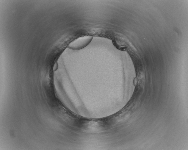 X0000114100566200911161100