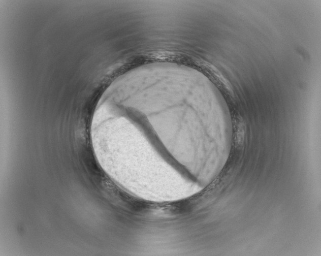 X0000114100569200911161100