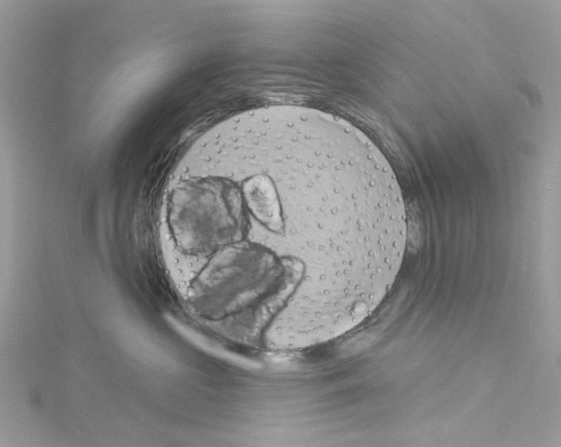 X0000114100573200911161100