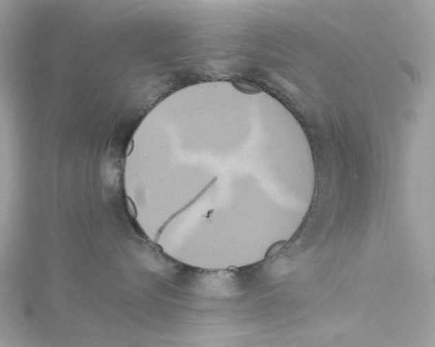 X0000114100576200911161100