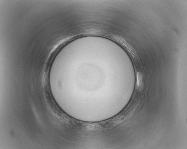 X0000114100579200911161100