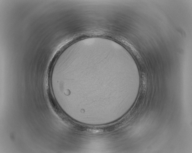 X0000114100582200911161100