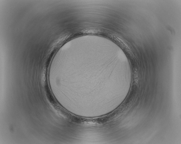 X0000114100586200911161100