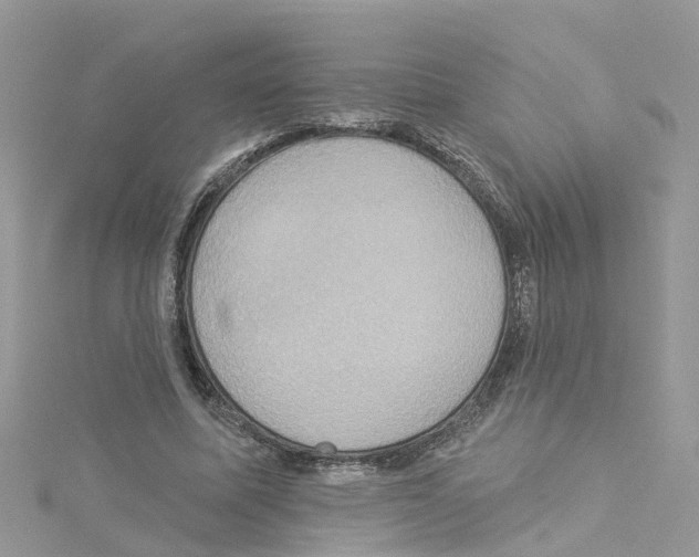 X0000114100587200911161100