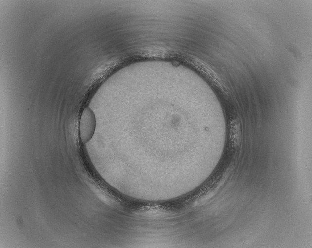 X0000114100589200911161100