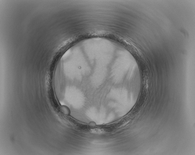 X0000114100591200911161100