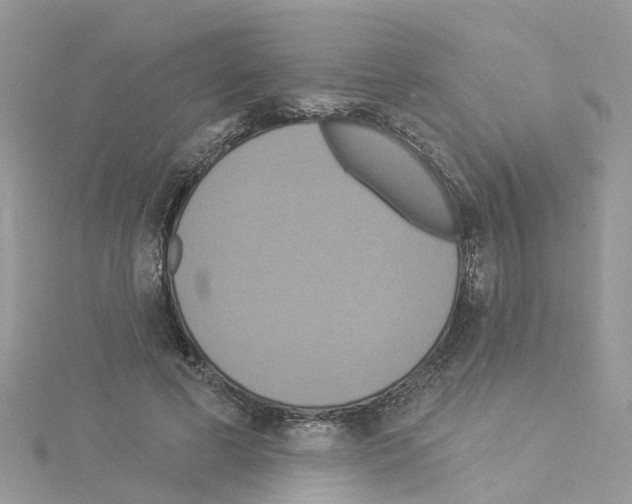 X0000114100593200911161100