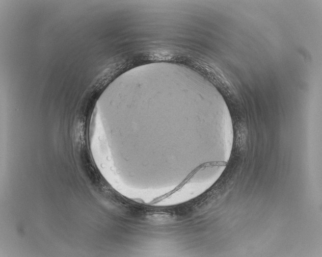 X0000114100598200911161059