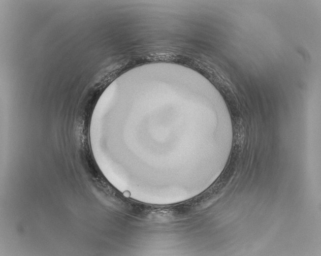 X0000114100599200911161059