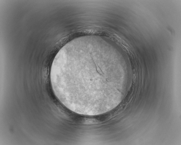 X0000114100605200911161059