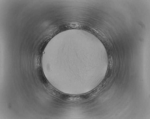 X0000114100606200911161059