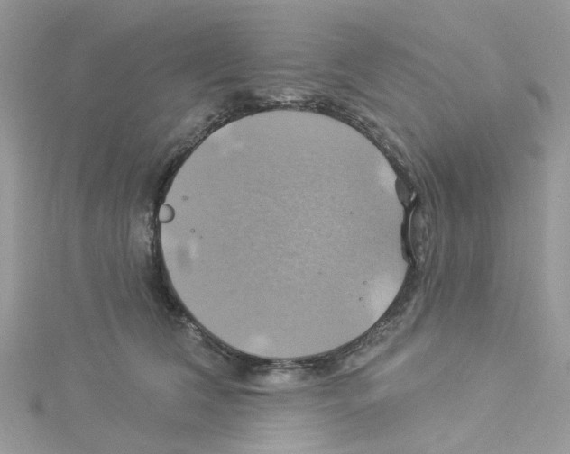 X0000114100612200911161059