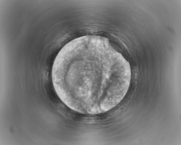 X0000114100615200911161059