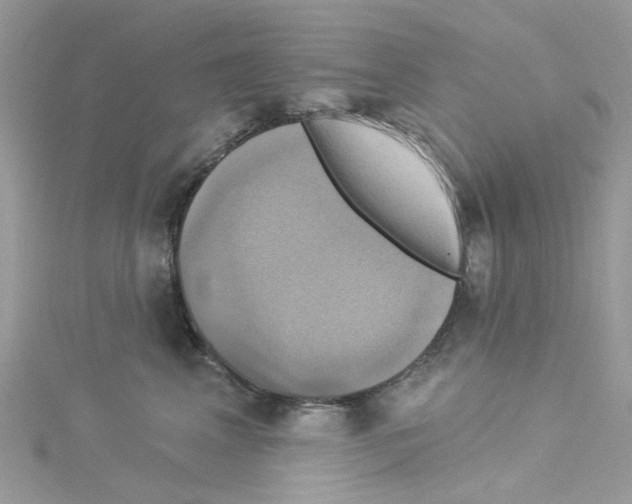 X0000114100617200911161059