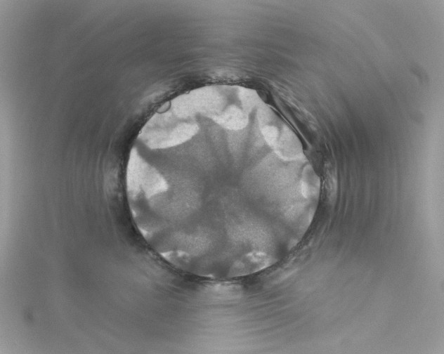 X0000114100619200911161059